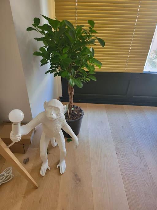 Appartement Luxe "La Providence" , Plein Centre Vichy Extérieur photo